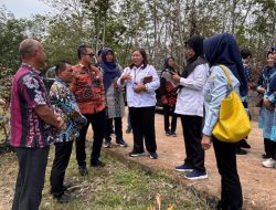 OKU Timur Terima Tim Validasi Lapangan Penilaian KKS, Hanya 2 Kabupaten/Kota Se-Sumsel