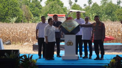 Lumbung Jagung Terbesar di Sumsel, OKUT Tuan Rumah Panen Raya Nasional