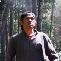 Ardi